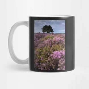 Dunwich evening Mug